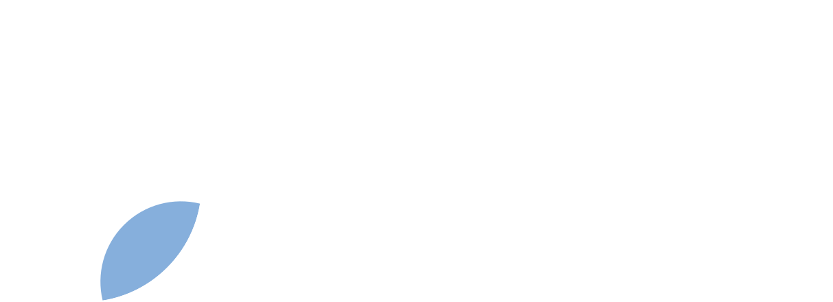 STiBaRC Records Logo